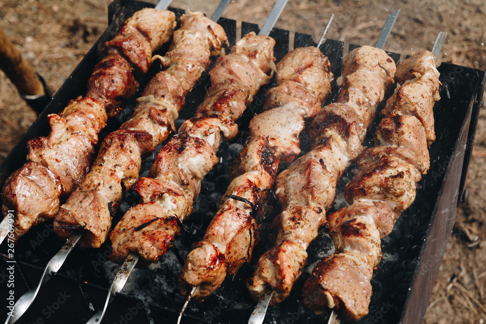 Closeup of some meat skewers being grilled in a barbecue Closeup of some meat skewers being grilled in a barbecue