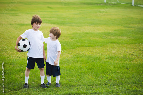 Two boys with a soccer ball on the grass.