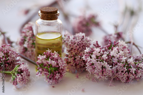 cat grass and oil