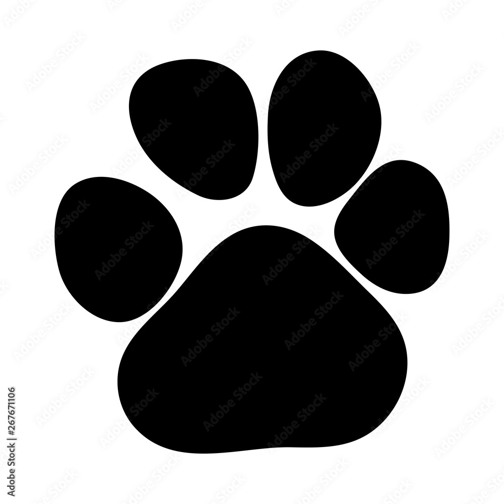 Leopard Footprint Leopard Footprint
