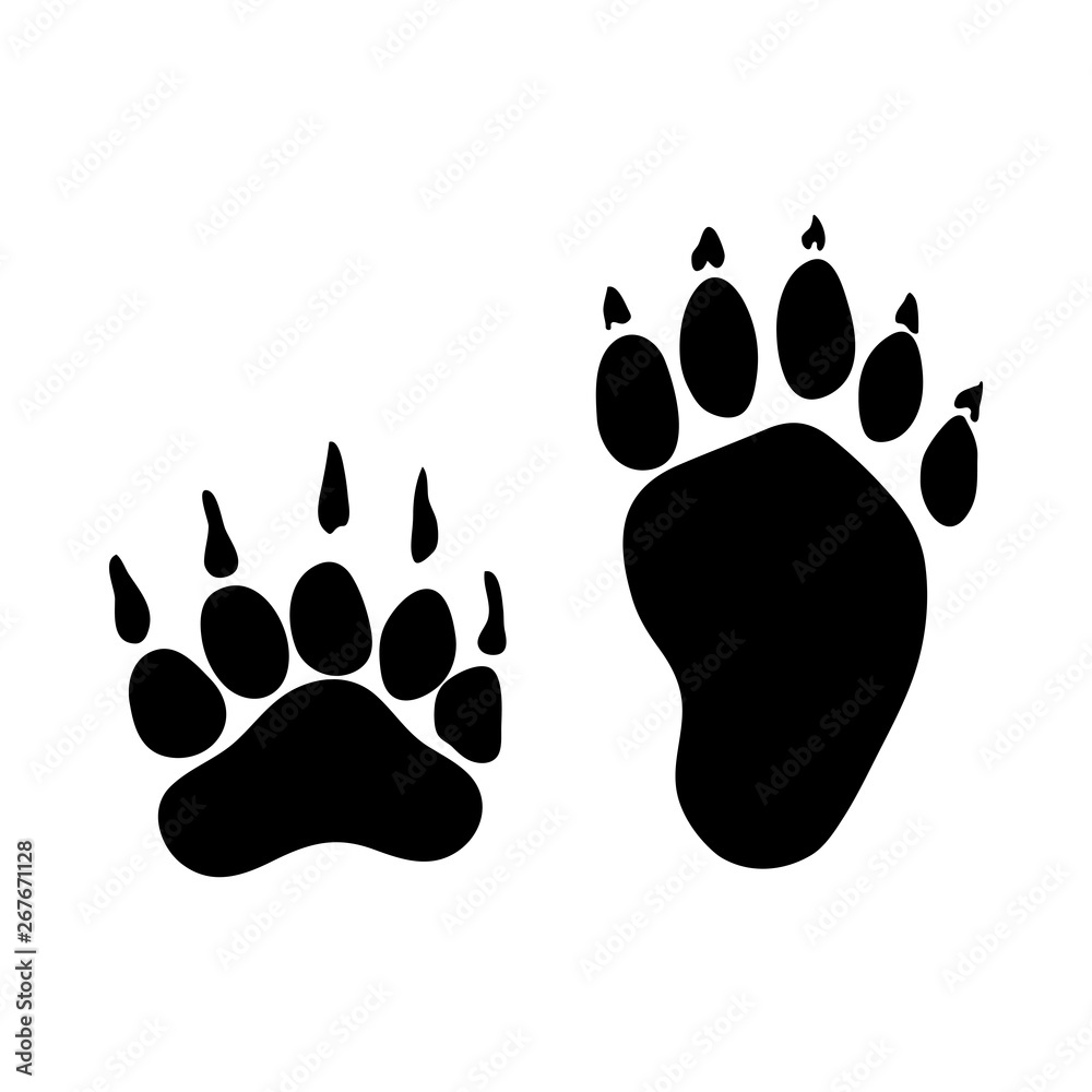 Badger Footprint Badger Footprint