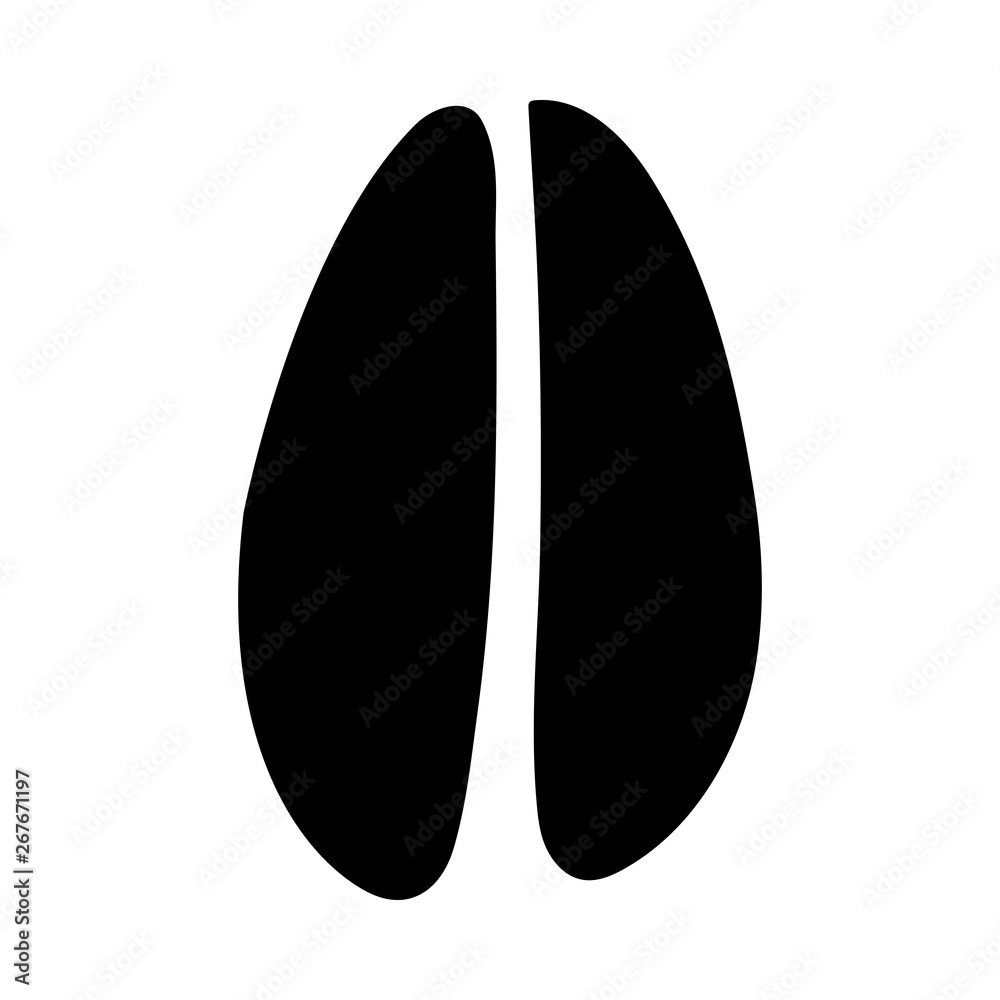 Manchurian Deer Footprint Manchurian Deer Footprint