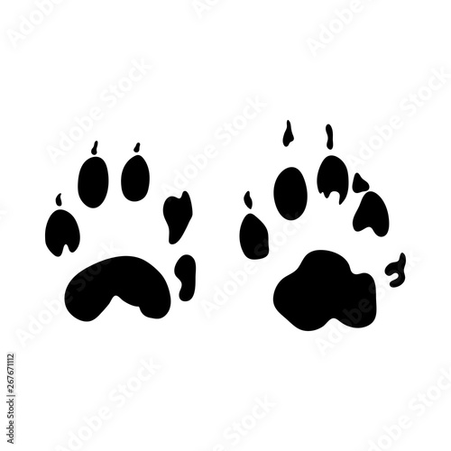 Stone Marten Footprint