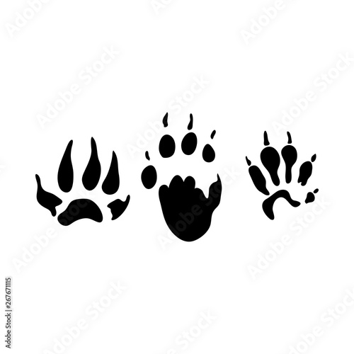 Fitchew Footprint