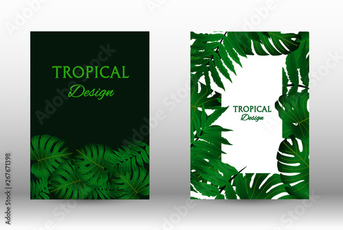 A set of tropic photo