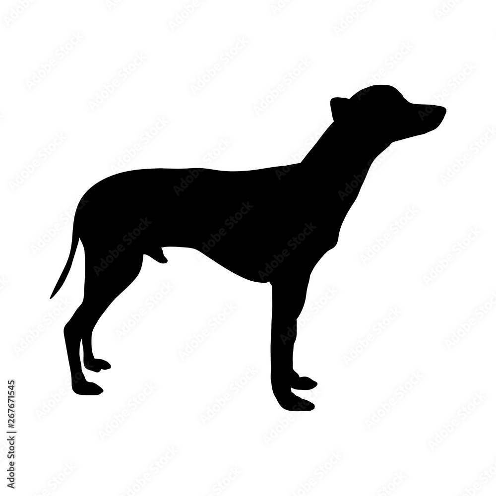 Mexican Naked Dog Silhouette