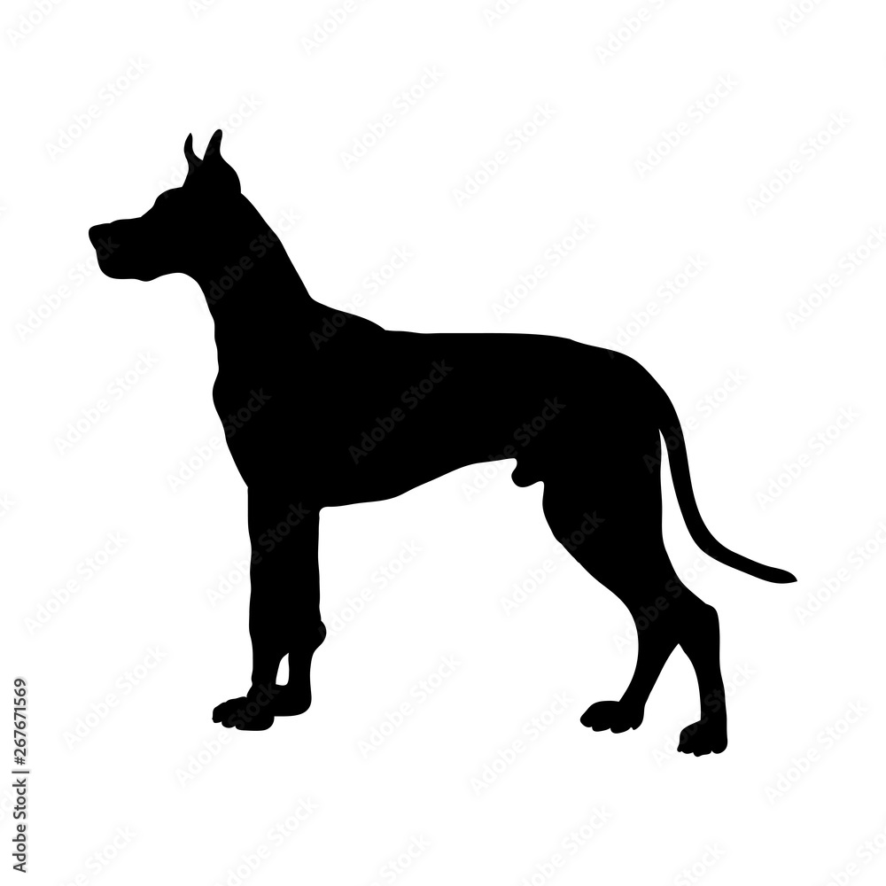 Great Dane Dog Silhouette