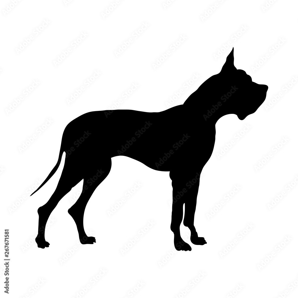 German Great Dane Dog Silhouette
