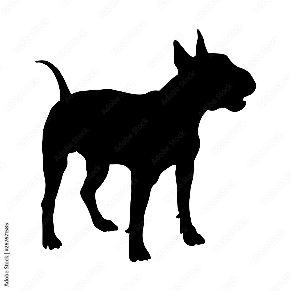 Bull Terrier Dog Silhouette