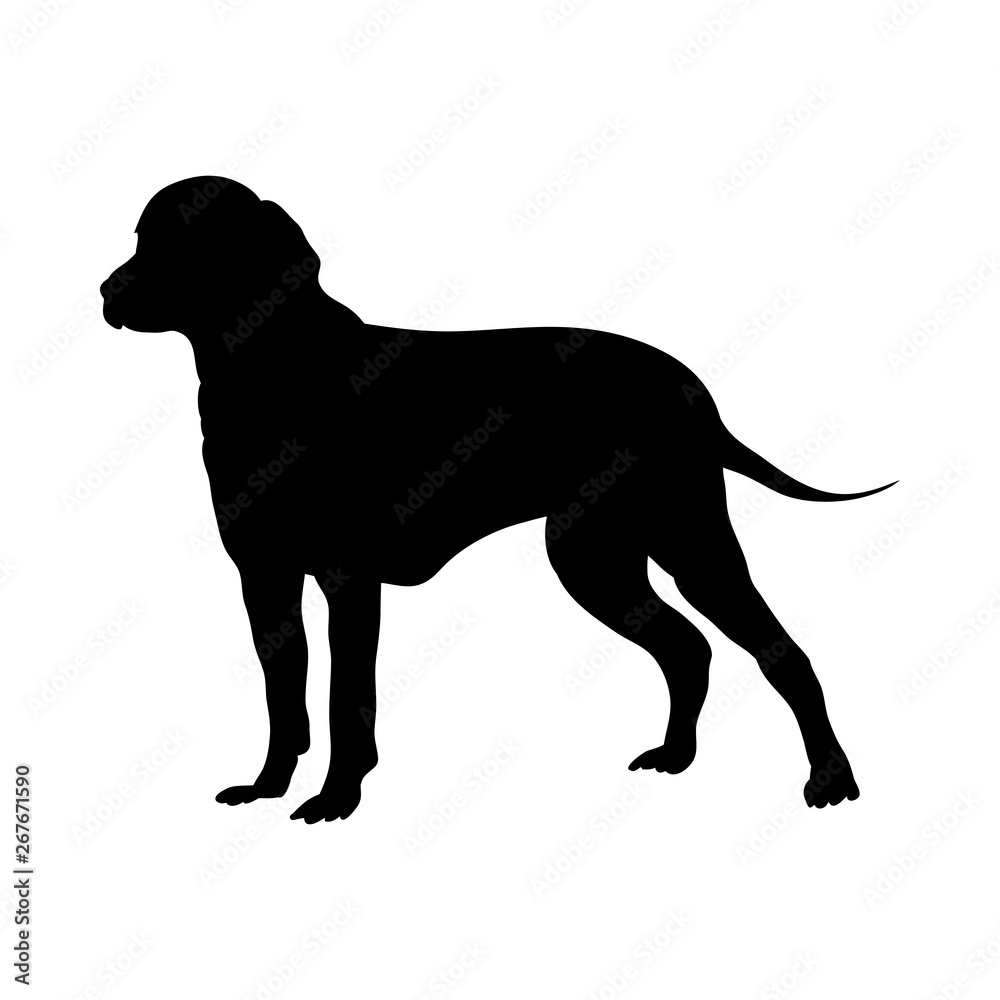 Finnish Hound Dog Silhouette