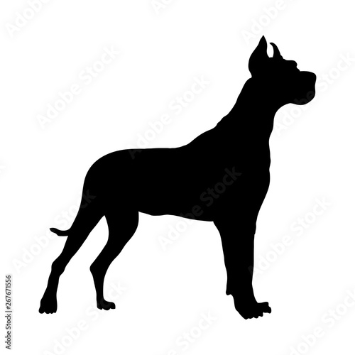 German Great Dane Dog Silhouette