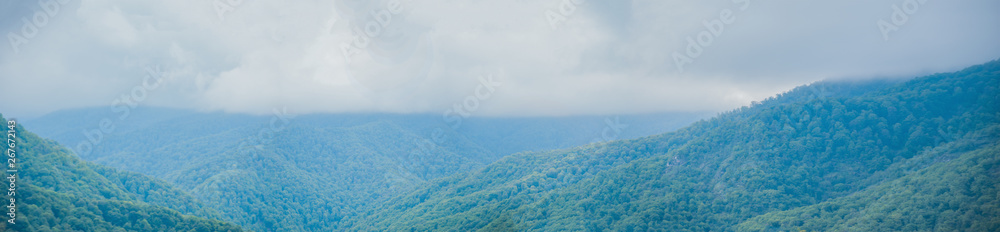 Fototapeta premium my photos