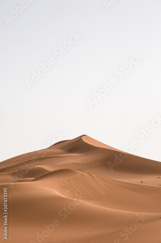 abstract sand background