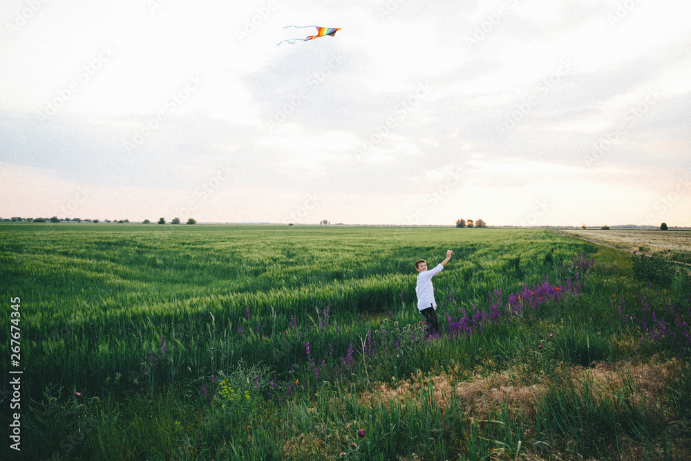 Fototapeta premium a running boy with a kite on the lavender and lupine filed.