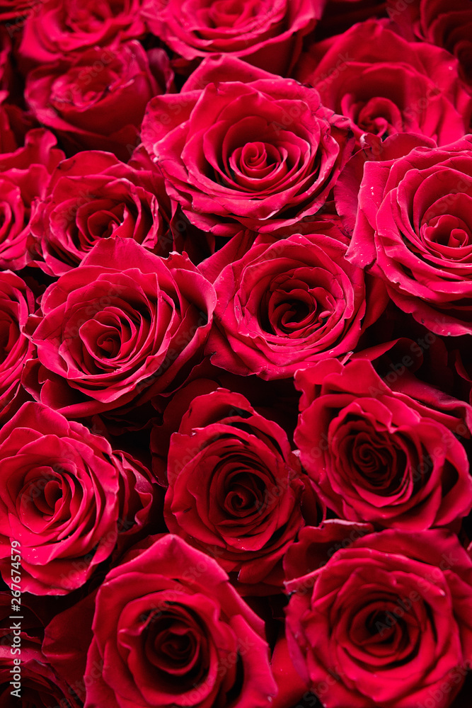 Bouquet of flowers. Red rose Bouquet of flowers. Red rose
