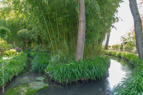 Giverny, France - 05 07 2019: The gardens of Claude Monet in Giverny. the bamboos