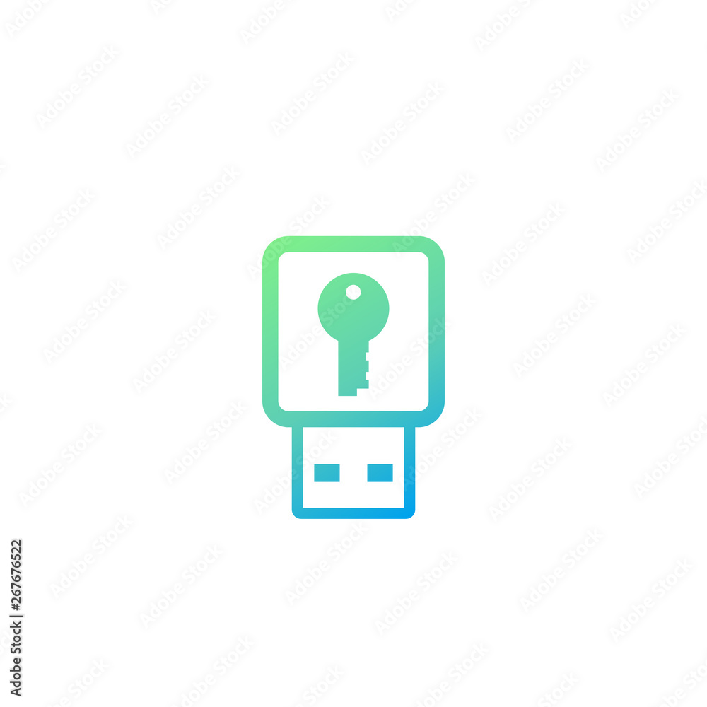 usb stick security key icon, data protection usb stick security key icon, data protection