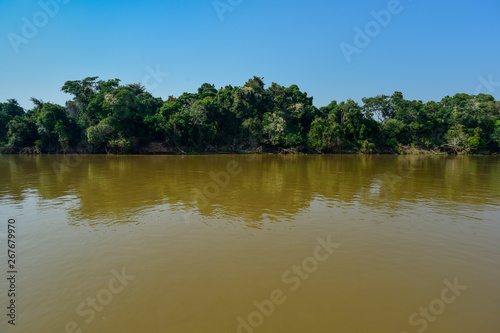 Jungle Amazon environment,Brazil