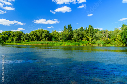 Fototapeta Naklejka Na Ścianę i Meble -  Summer landscape with the green trees and river
