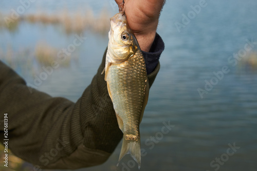 Fisherman holding caught fish in hand, close-up