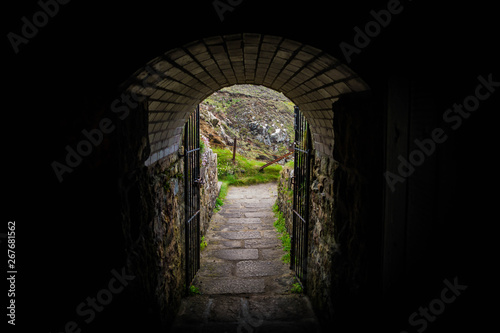 old door in stone wall