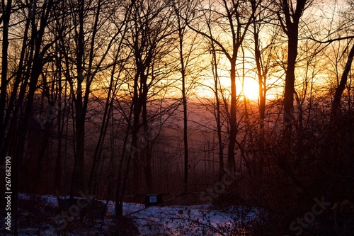 Sunrise on a Pennsylvania Forest