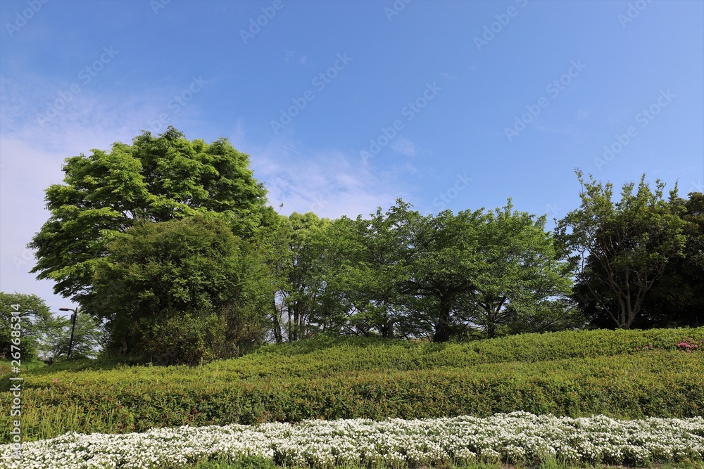 Obraz premium 馬見丘陵公園