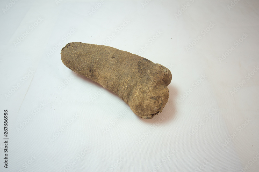 Nigerian yam local root with high carbonhydrate Nigerian yam local root with high carbonhydrate
