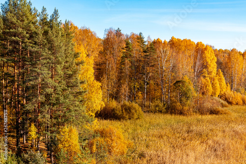 Colorful autumn landscape, bright paints of Indian summer in the forest - Image