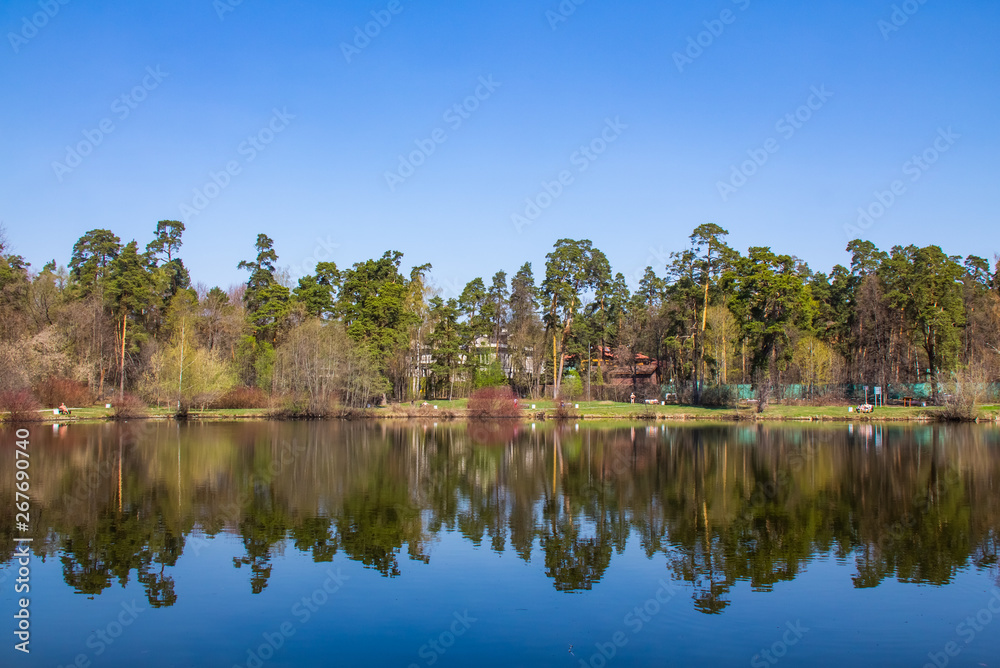 Fototapeta premium Just lake