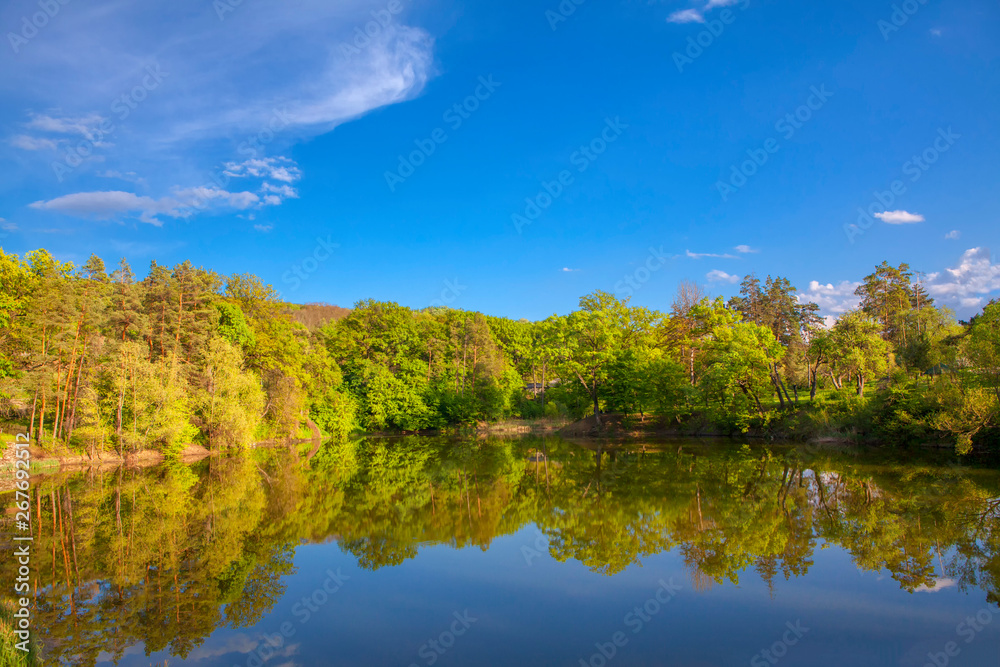 idyllic nature with trees and lake 