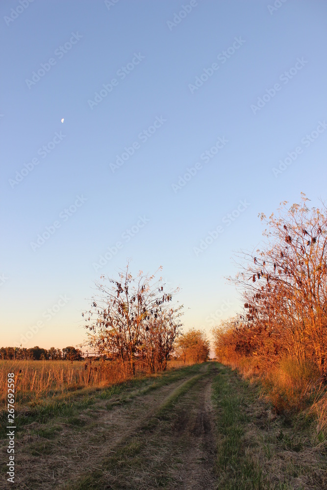 nature nature