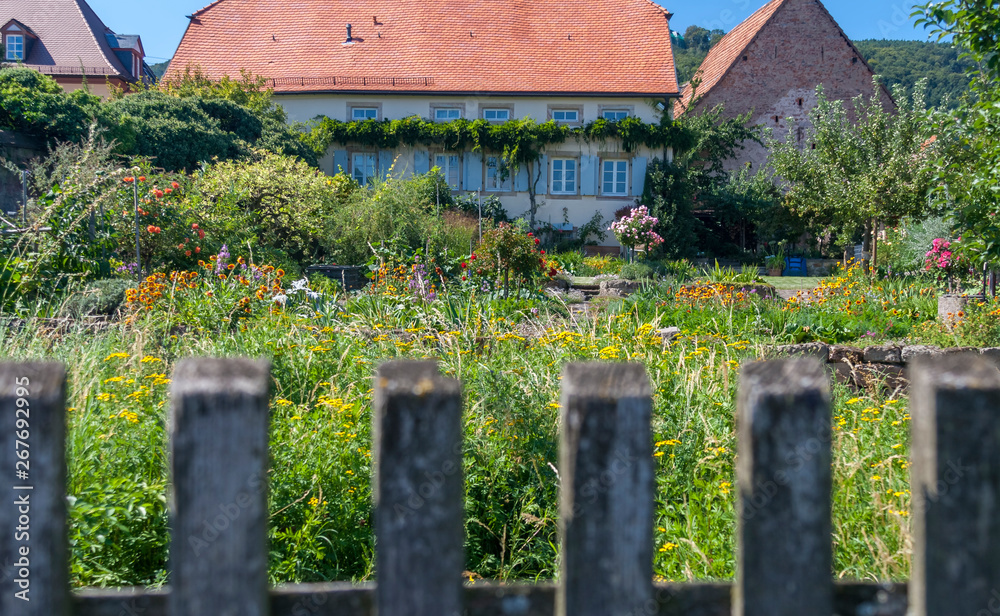 Naklejka premium Blick ueber den Gartenzaun