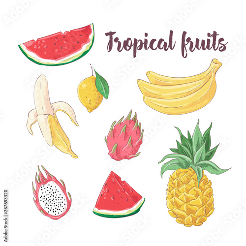 Fototapeta Naklejka Na Ścianę i Meble -  Set of cocktail ice cream and tropical fruits. Vector illustration