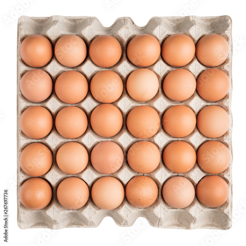 Thirty eggs of chicken in carton packed on top view isolated on white background