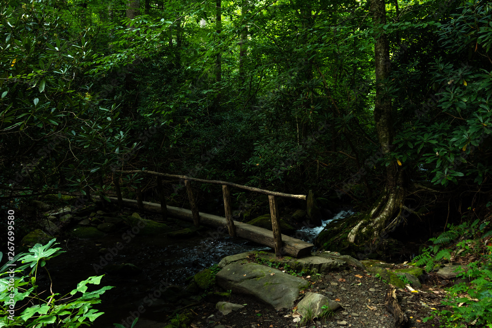 Wooden Bridge Over Creek