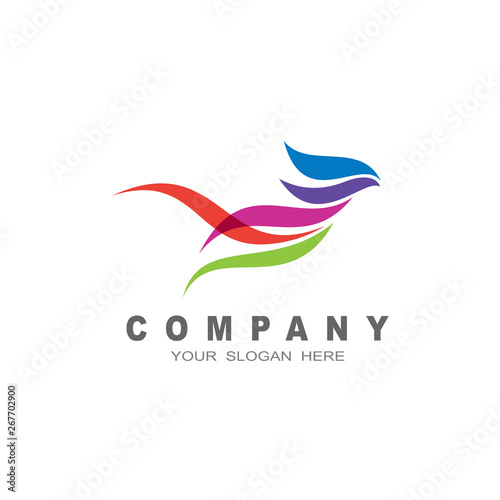 bird logo  colorful dove logo  bird design illustration