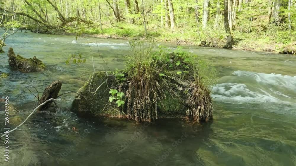 新緑の渓流 010 4K 60p スローモーション