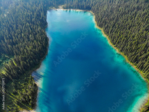 blue lake in a forest