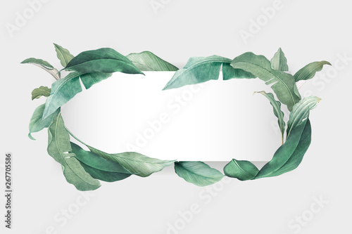 Tropical leaves frame