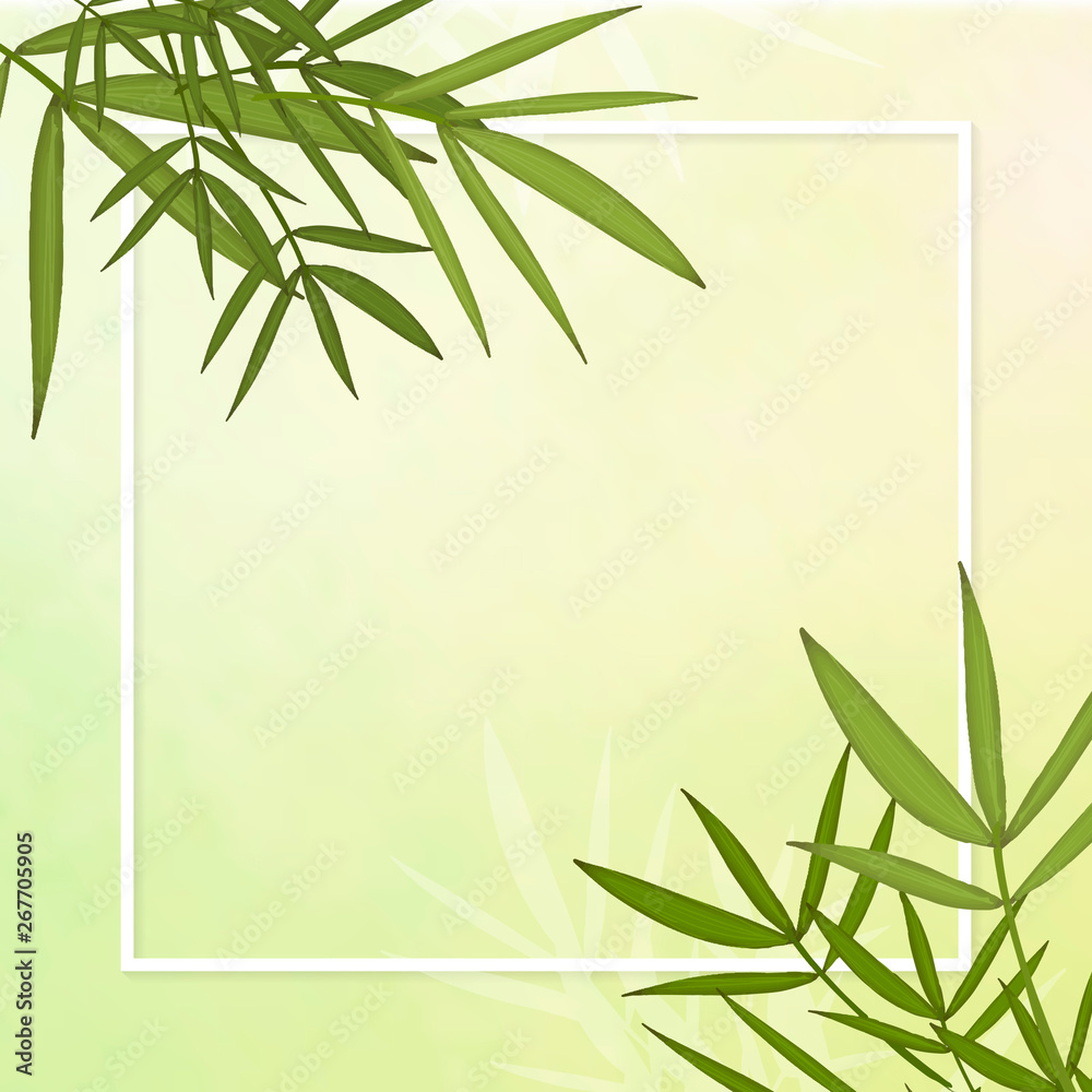Fototapeta premium Bamboo leaf background