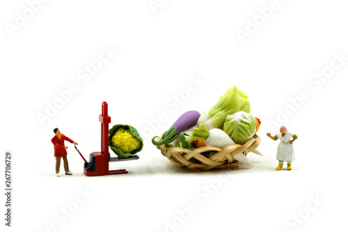 Miniature people : Wifehouse woman's Sell Harvest Products Farm Assortment of fresh fruits and vegetables Market Seasonal Sale. photo