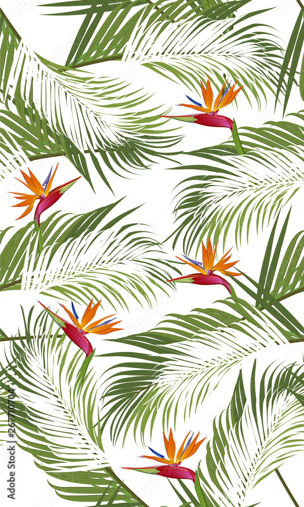 Seamless pattern palm leaves with bird of paradise on white background