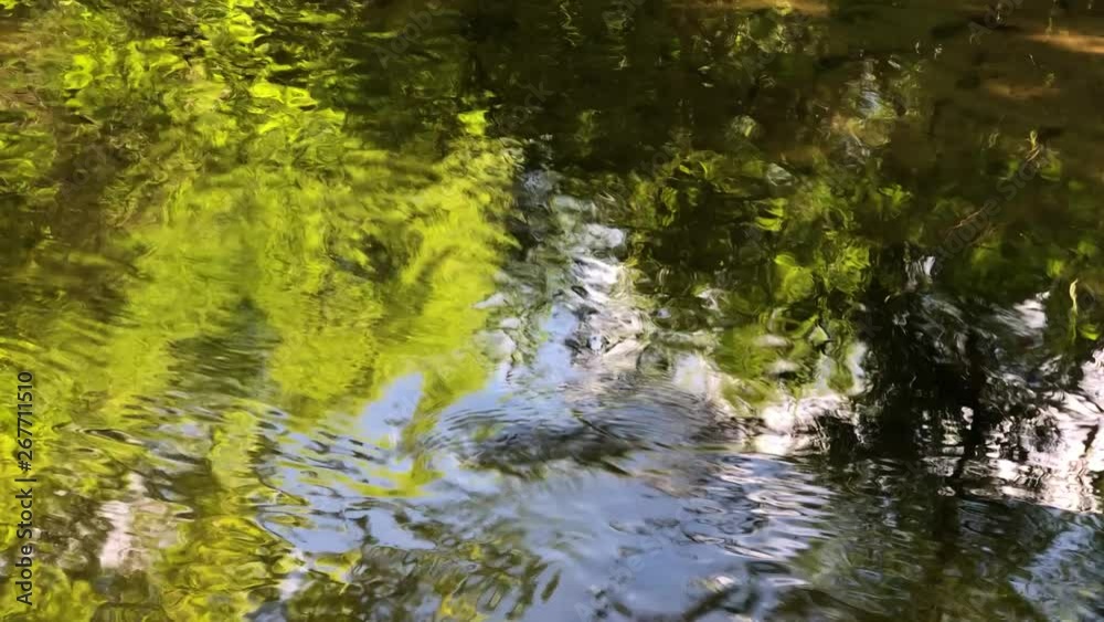 Water flowing in river. Water closeup in nature. Water flowing in river. Water closeup in nature.