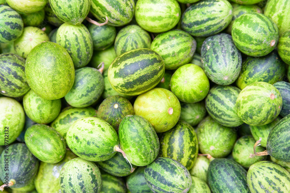 Fresh ripe small watermelons. Freshly harvested sweet fruits
