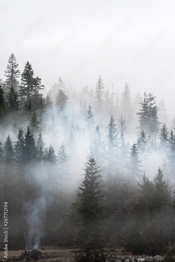 Misty Mountains