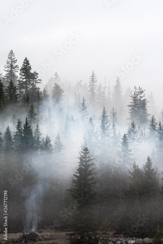 Misty Mountains © Stephen