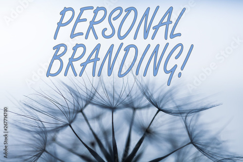 Handwriting text writing Personal Branding. Conceptual photo process of creating a recognizable professional name photo