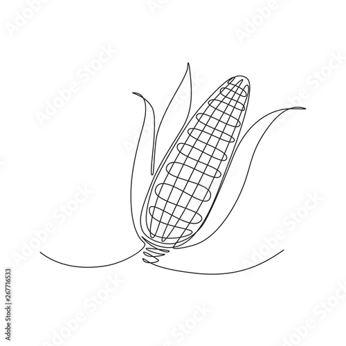 monochrome sketchy corn illustration drawn with one line.