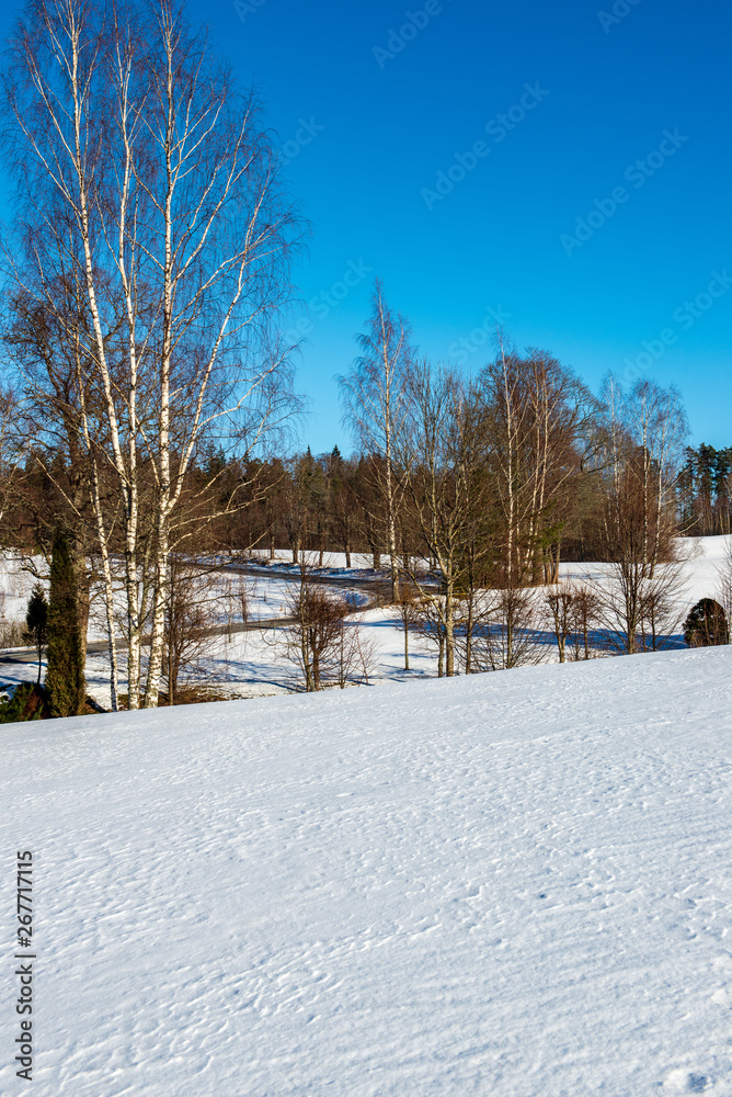 Fototapeta premium fields and forests covered in snow in winter frost